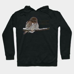 Who Gives a Hoot...... Hoodie